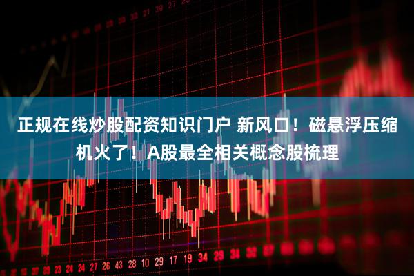 正规在线炒股配资知识门户 新风口！磁悬浮压缩机火了！A股最全相关概念股梳理