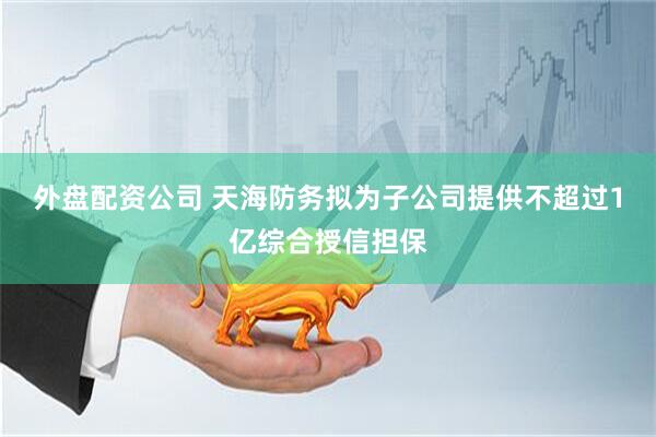 外盘配资公司 天海防务拟为子公司提供不超过1亿综合授信担保