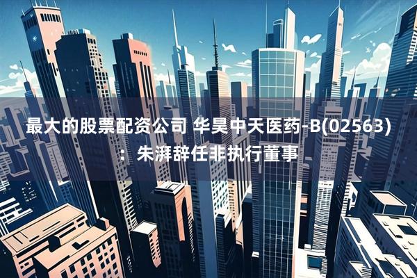 最大的股票配资公司 华昊中天医药-B(02563)：朱湃辞任非执行董事