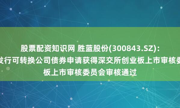 股票配资知识网 胜蓝股份(300843.SZ)：向不特定对象发行可转换公司债券申请获得深交所创业板上市审核委员会审核通过